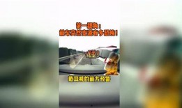 都市快报怎么爆料视频,揭秘视频爆料背后的真相