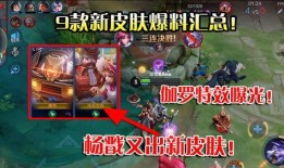 伽罗新皮肤 爆料视频,神秘元素与视觉盛宴