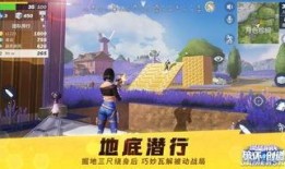 堡垒最新爆料新闻视频,揭秘游戏内神秘事件与全新玩法