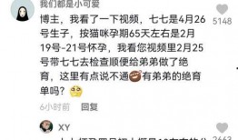 全网娱乐吃瓜君小说,揭秘娱乐圈背后的秘密与真相