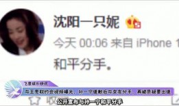 孙一宁女友爆料视频在线观看,揭秘背后惊人真相