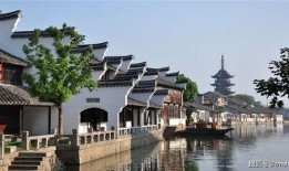吴江震泽最新闻爆料,吴江震泽镇突发新闻事件追踪