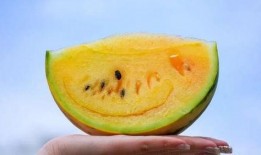 免费吃瓜黄料视频,带你领略网络娱乐新潮流