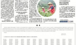 鹤山新闻爆料,最新爆料揭示惊人真相！