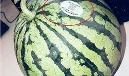 铜仁网红吃瓜,揭秘网络舆论背后的真相