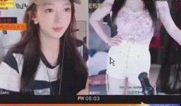 女主播爆料樊俊杰视频,真相背后引人深思