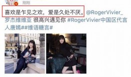 大仙爆料吵架视频播放大全,吵架视频大全引发热议，精彩瞬间盘点