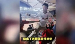 中国知情人爆料视频大全,视频大全背后的真实故事